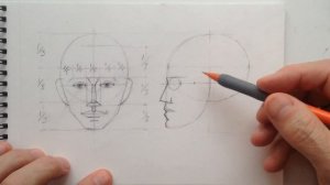 4. Основные пропорции головы. Профиль / Портретные зарисовки