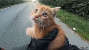 Best Human Moments Caught on Camera
