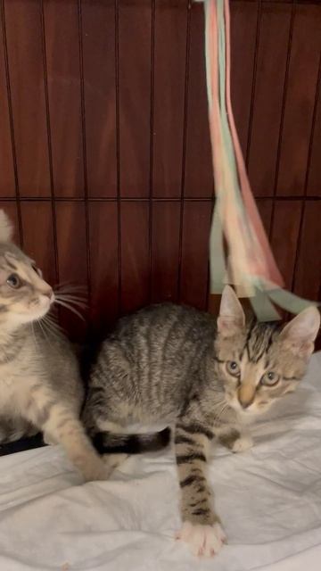 31-05-2025 смотреть онлайн