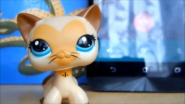 LPS Tag: Братья-сестры. смотреть онлайн