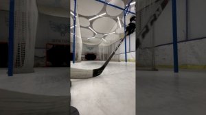 Побросал шайбу в бросковой зоне