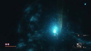 Sekiro Место для фарма, в начале игры