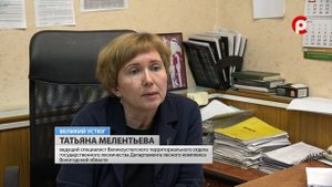 Изменения в правилах предоставления древесины