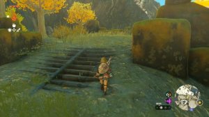 The Legend of Zelda: Tears of the Kingdom Прохождение 3: Два святилища (Nintendo Switch)