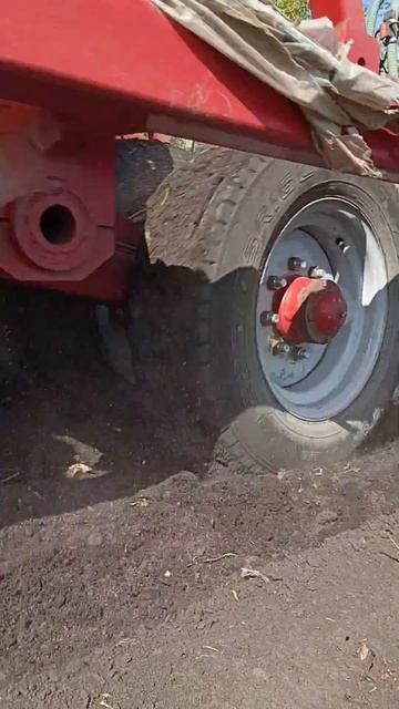 Посев 2024 смотреть онлайн