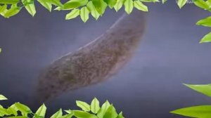 Живое / Life ( Фильм 2017 )