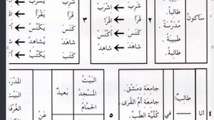 Практический курс АЯ9(3241)