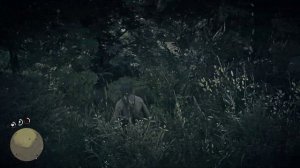 Red Dead Redemption 2 | Новый дом [78]