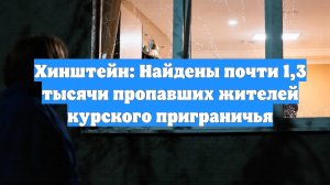 Хинштейн: Найдены почти 1,3 тысячи пропавших жителей курского приграничья