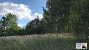 Август - Астры... Мария Агеева. Ст. М. Цветаевой, муз.  М. А