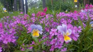 покушать захотел и поболтать
