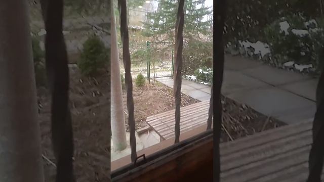 чем можно заняться когда скучно #басик #хорошие идеи смотреть онлайн