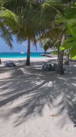 Остров Велассару. Атолл Южный Мале, Мальдивы🌴