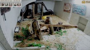 С обстановкой познакомились- спать не хотят