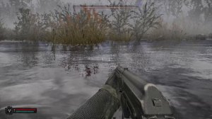 S.T.A.L.K.E.R. 2: Heart of Chornoby18 Тайники затон  Уникальный автома?