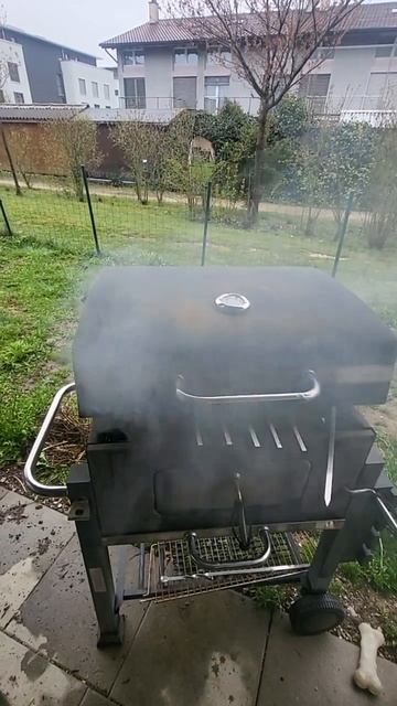 шашлык и жарится и коптится))) смотреть онлайн