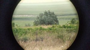 Бинокли Galileo 10x60, Bushnell 12x60, БПБ 12х40 1964г,, БП9х40. Сравнение