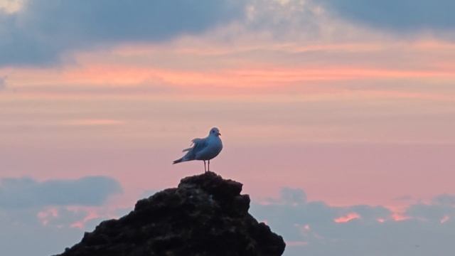Красивая природа, утренний релакс морем, успокаивающи