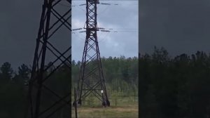 Электрик 6 разряда, с высшим допуском!.. 🤣
