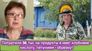 Потратили 36 тыс на продукты в мае. А сколько потратили вы? Клубнике - кислоту, Петуниям - обрезку!
