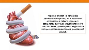 Познавательный обзор «Мифы и реальность о курении». Сельская библиотека п. Горный