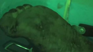Фулл видео герасёва про тоннель !!!
