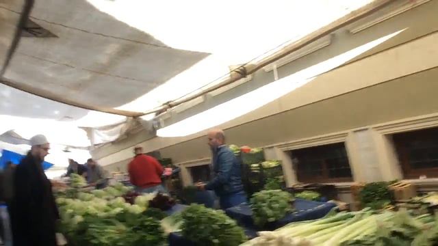 Будете в Стамбуле, обязательно погладьте кота)) Турция. смотреть онлайн