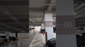 Авто из Южной Кореи 🇰🇷  Показываем нашу стоянку.  У нас лучшие условия сотрудничества. SekaiAuto