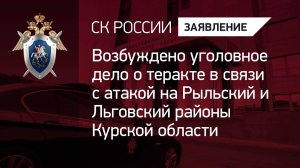 Возбуждено уголовное дело о теракте в связи с атакой на Рыльский и Льговский районы Курской области