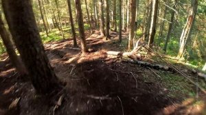 Тренировка Hard Trail 2025 бронза, но свернул не туда)