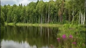 Как любить ближнего  Святитель Игнатий Брянчанинов