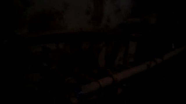 Птицы-убийцы