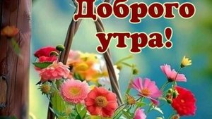 Доброе утро - Вот и лето пришло 🌞 #вотилетопришло