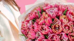 Букет 51 пионовидный тюльпан Колумбус