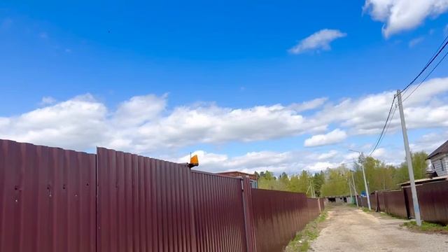 video5321209362981612544