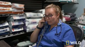 Feral Cats (Full Episode) | Rocky Rapid Vet 911