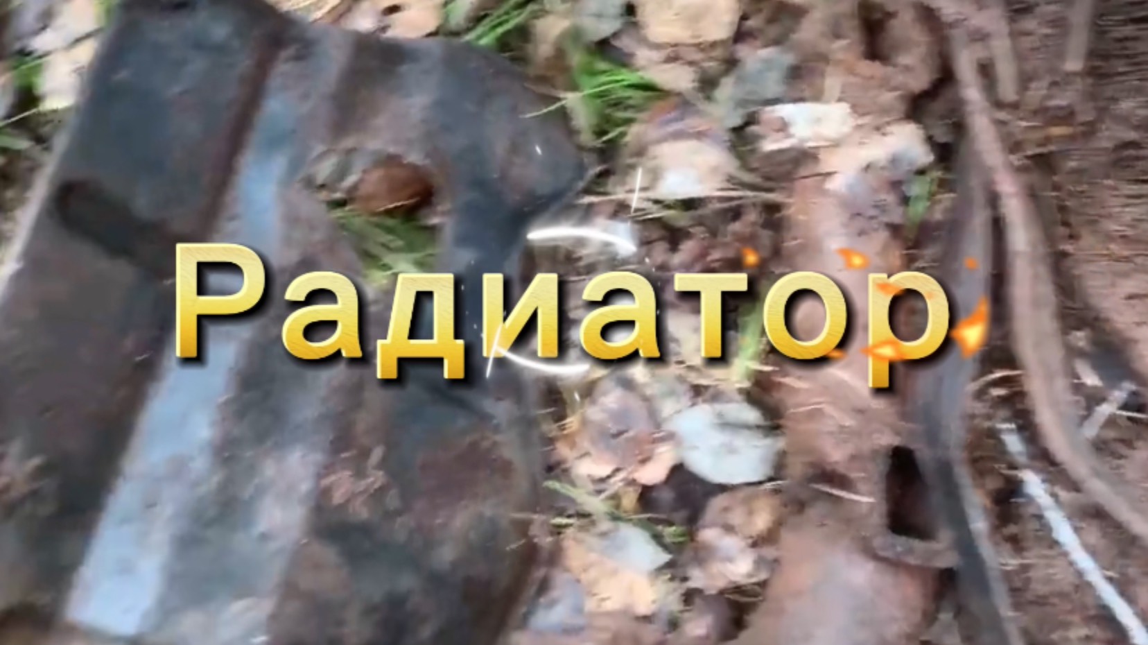 Я поехал по лесной дороге в глушь. Весь лес был завален металлоломом среди которого цветной.