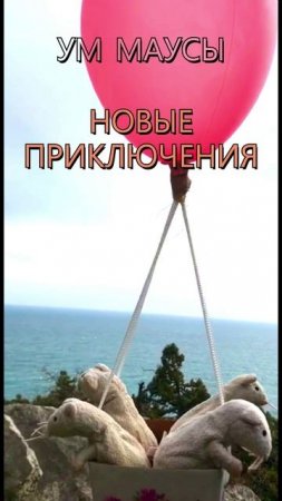 Новые приключения мышунь