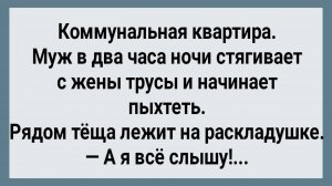 Как Теща Ночью На Молодых Смотрела! Сборник Свежих Анекдотов! Юмор! Позитив!
