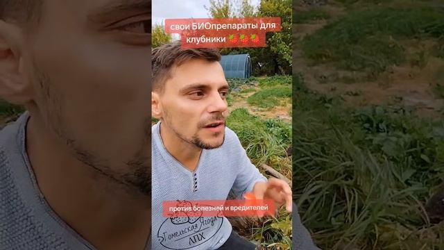 Выращивание био препаратов дома #strawberry #дача #гомельск смотреть онлайн