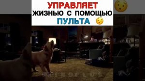 Фильм: КЛИК: С ПУЛЬТОМ ПО ЖИЗНИ (2012)