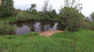 Рыбалка после дождя. Майский жук, выползок и опарыш