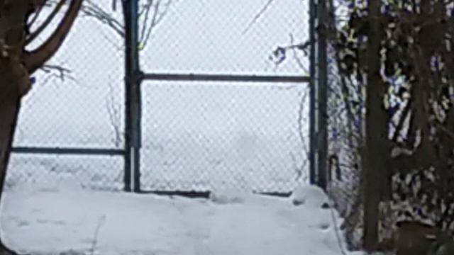 контрабандистки смотреть онлайн