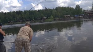 Поимка осетра