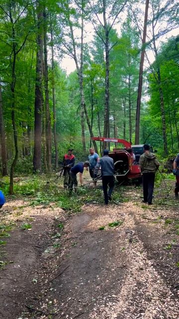 Расчистка леса перед монтажом габионов #стройка #габи? смотреть онлайн