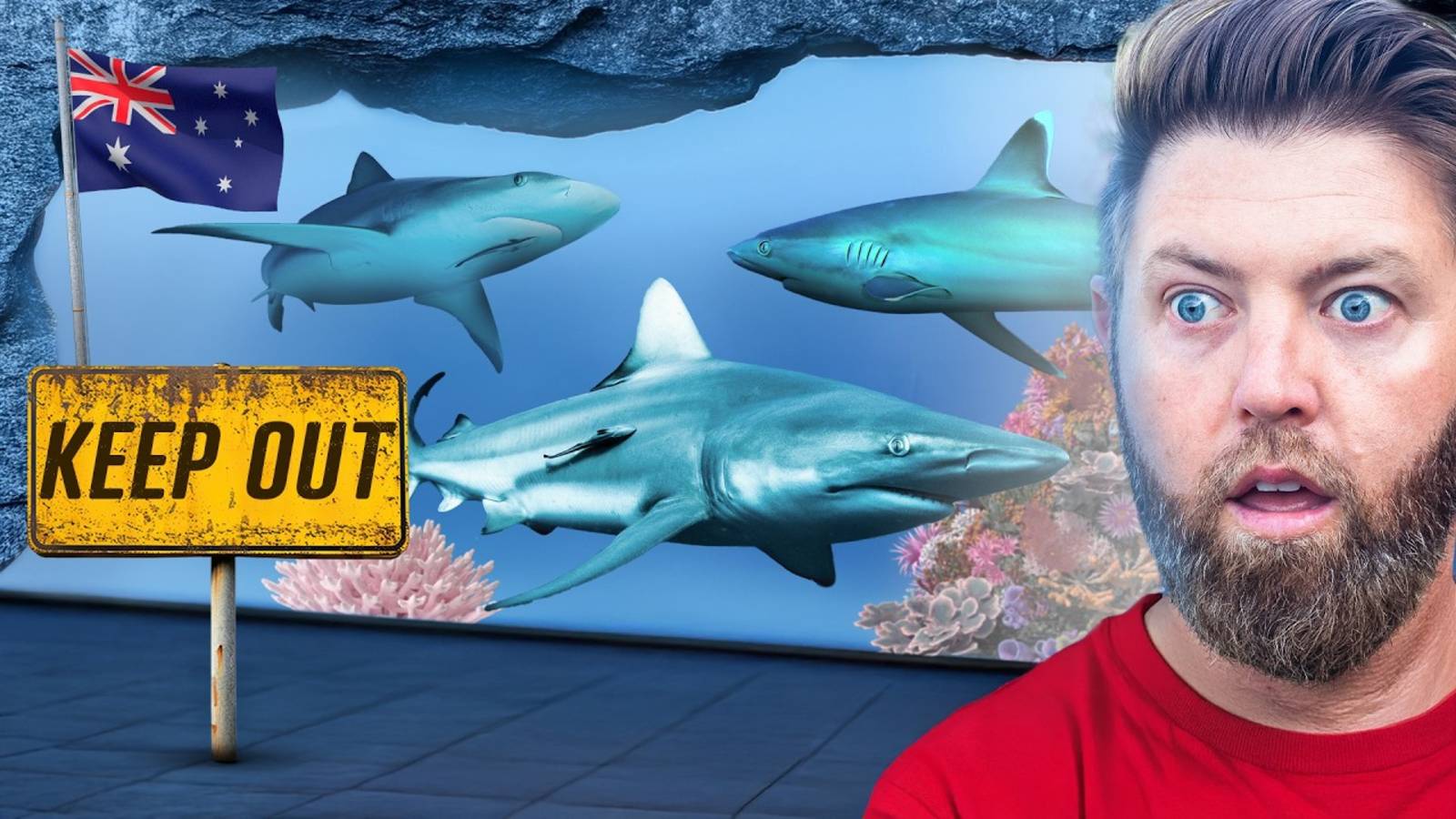 Forrest Galante: Эксклюзивный Тур по ЛУЧШЕМУ Аквариуму Австралии