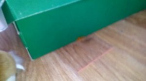 Большое путешествие 2 часть