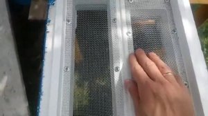 Краткий обзор шестирамочного улья Пеноулик.