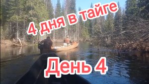4 дня в тайге День 4. Дорога домой.