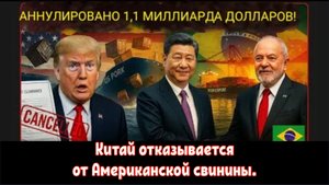 Китай отказывается от американской свинины, а Бразилия и Испания за ночь захватили этот рынок.